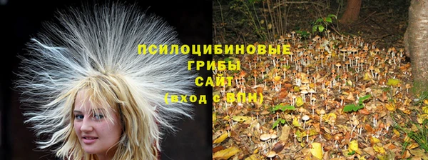 амфетамин Алексин
