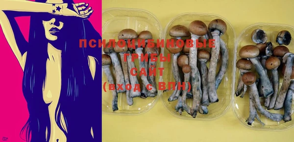 марки nbome Алексеевка