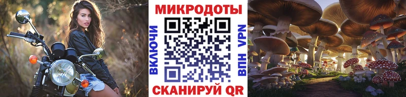 hydra ONION  Чапаевск  Псилоцибиновые грибы Magic Shrooms 